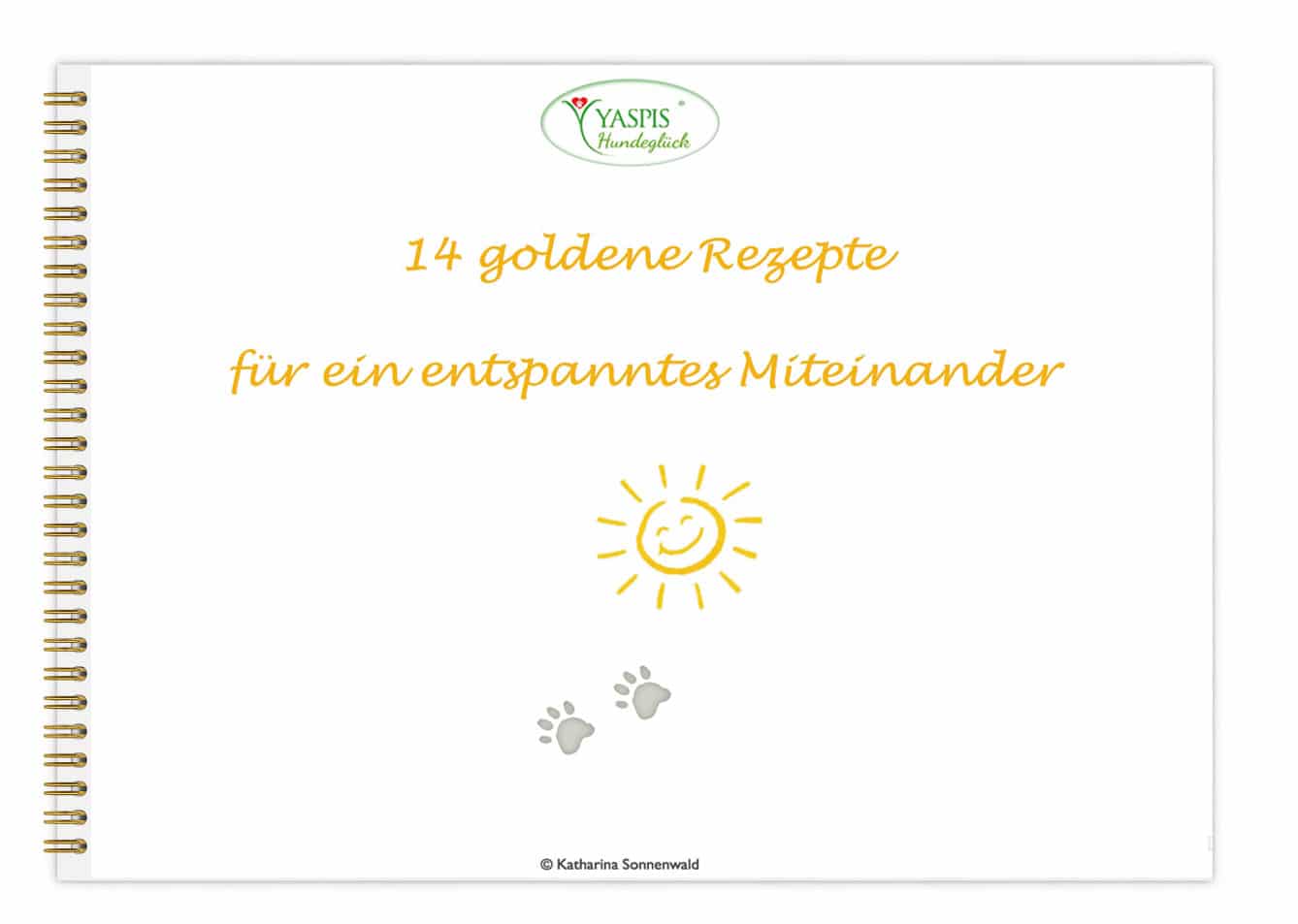 14.Goldene-Rezepte