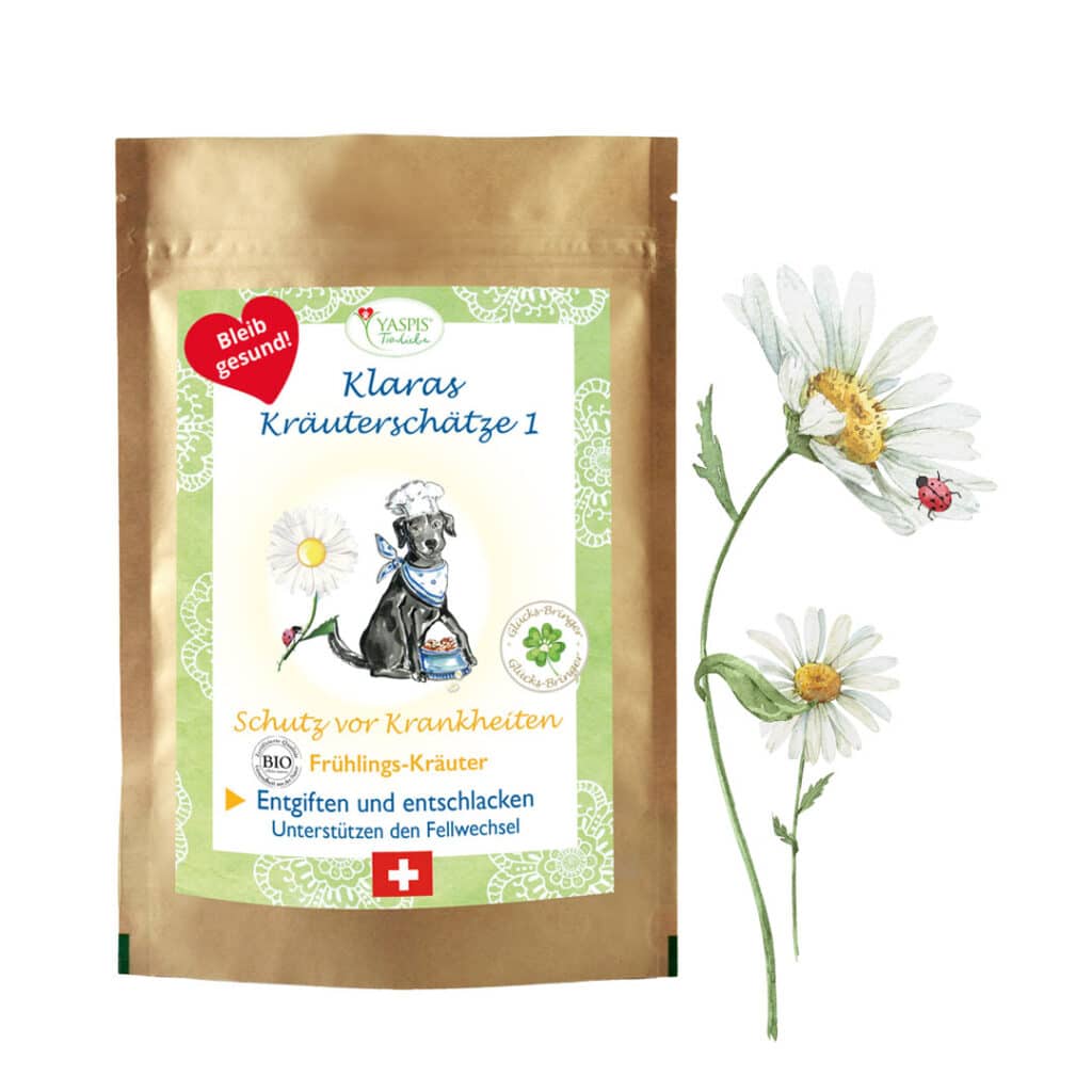 Gesunde Hunde: Klaras Kräuterschätze im Frühling sorgen für eine Entgiftung und Entschlag, damit Ihr Hund putzmunter den Frühling genießen kann.