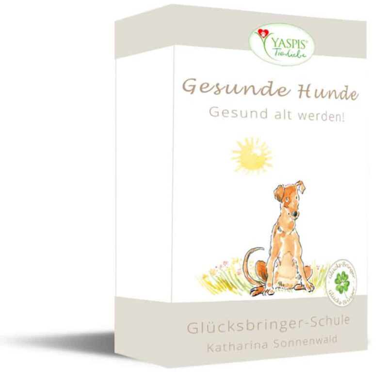 "Gesunde Hunde" - die gesund alt werden - Weihnachten 2023 (Monatsplan 12 x)