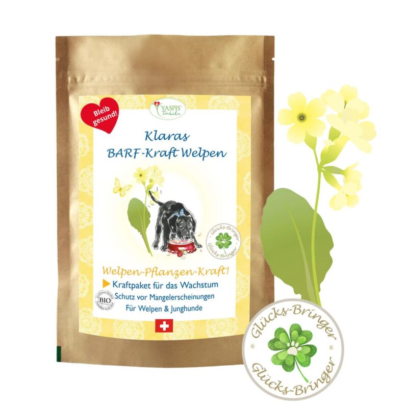 Klaras Welpen-Barf-Kraft