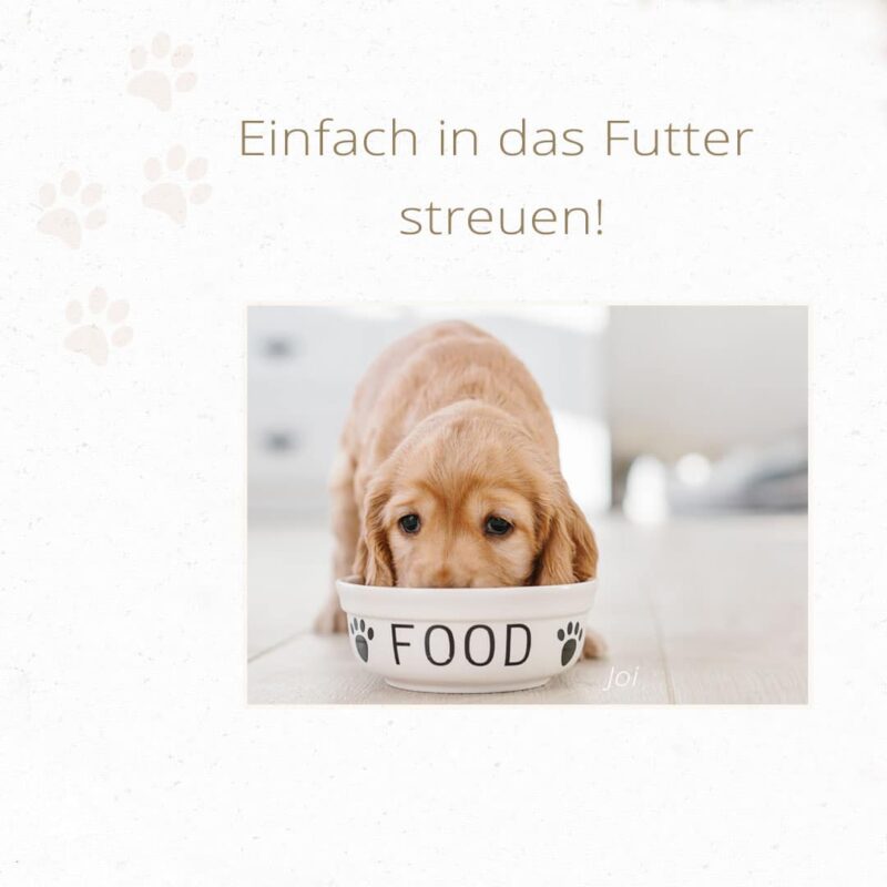 Klaras Welpen-Barf-Kraft – Bild 3