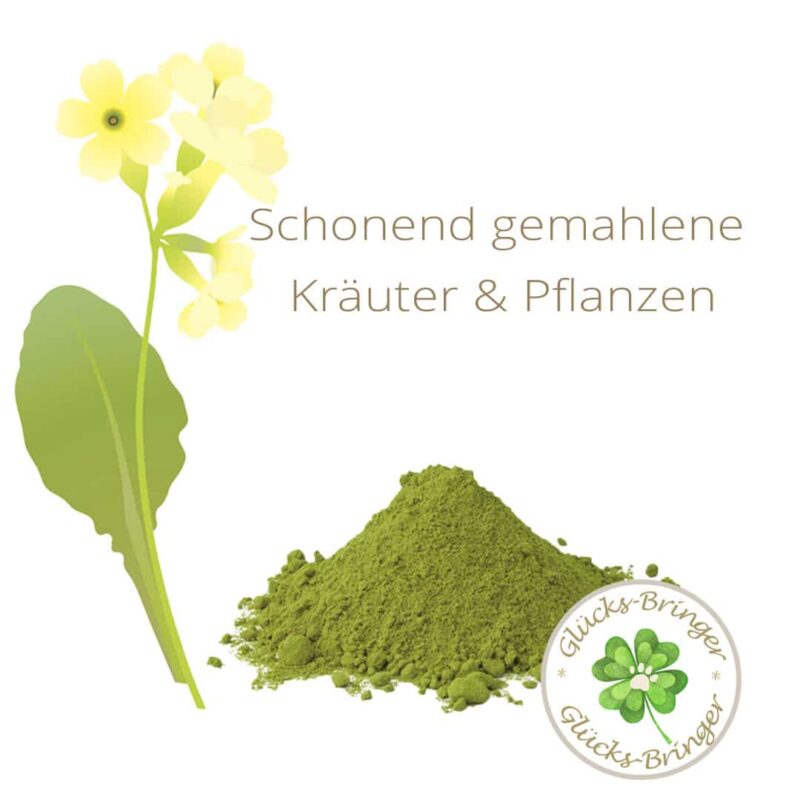 Klaras Welpen-Barf-Kraft – Bild 2