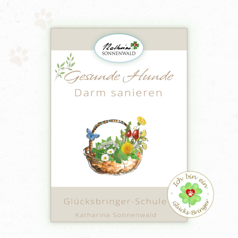 Kursbild: Den Darm beim Hund sanieren.