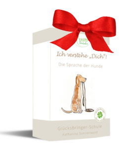 Kurs für Weihnachten: Ich verstehe dich - die Sprache der Hunde