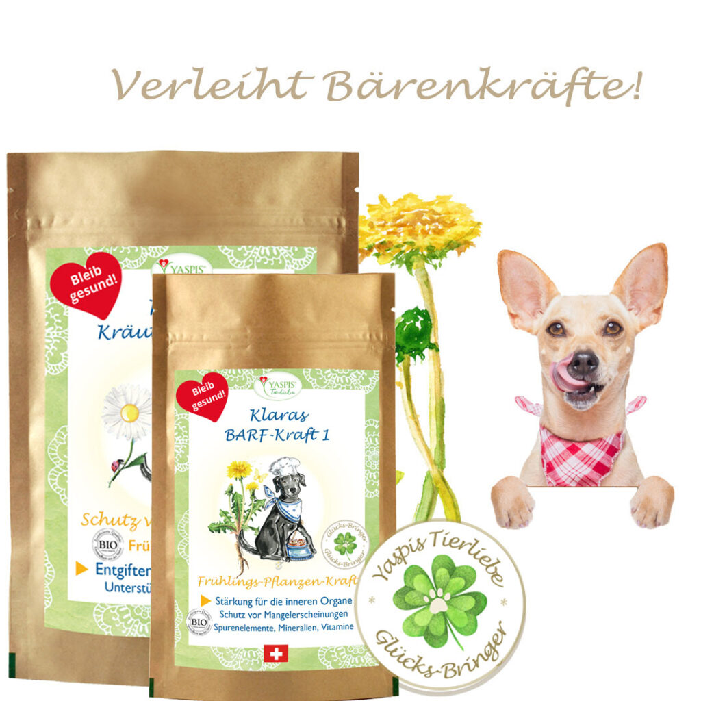 Hunde Barfen mit Klaras Barf Set.Nr.1