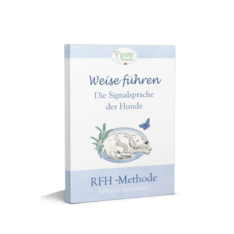 Buch weise führen