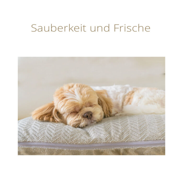 Sauberkeit im Hundekorb.