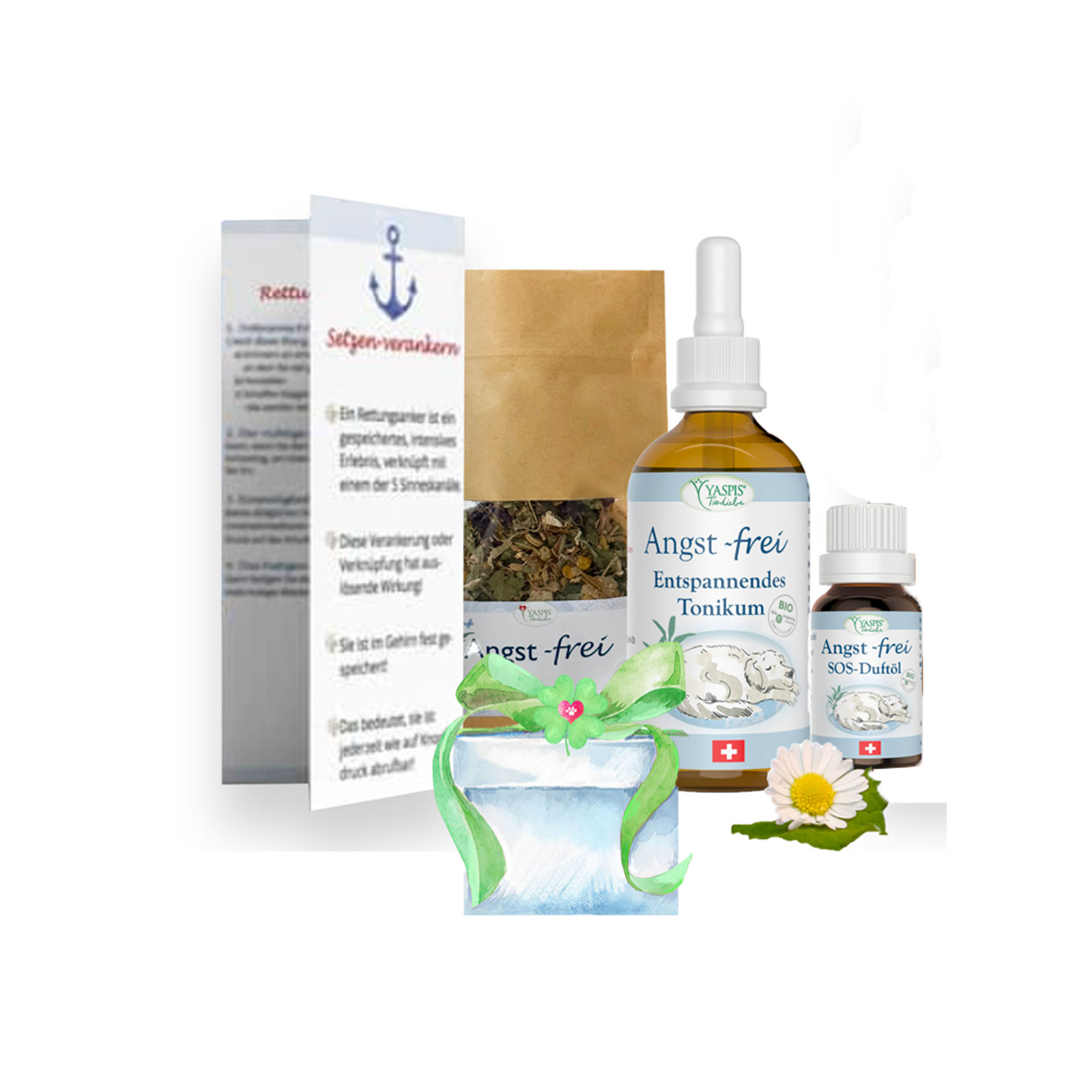 Erfolgsbox fรผr รคngstliche Hunde.