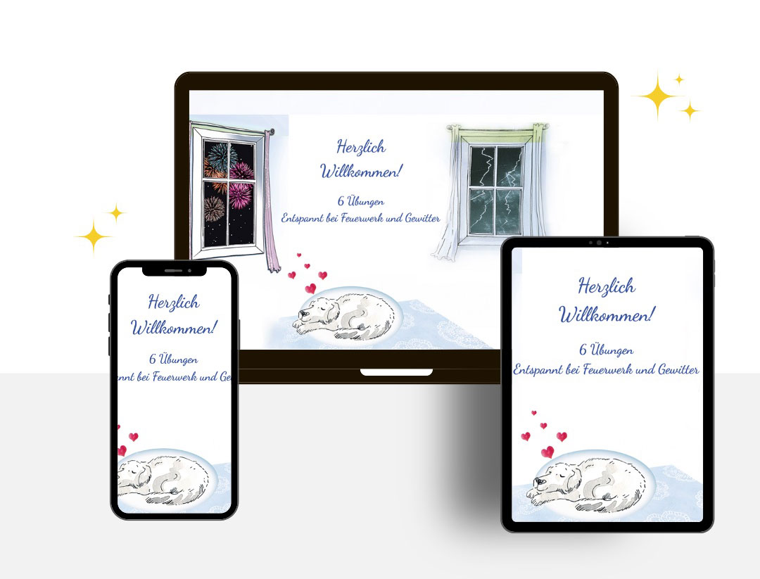 SOS Hilfen -Angst-frei -Set mit Training โ Bild 2