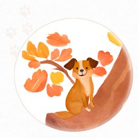 Gesunder-Hund-im Herbst